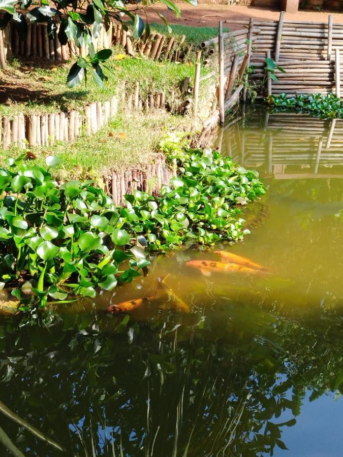 Apartmán Rancho Lux Águas de Lindóia Exteriér fotografie